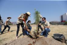 Tres personas plantando un arbol en el CUTLAJO