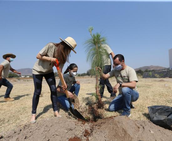 Tres personas plantando un arbol en el CUTLAJO