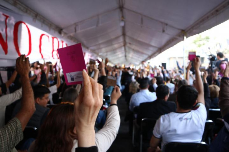 Miembrxs del consejo general votando