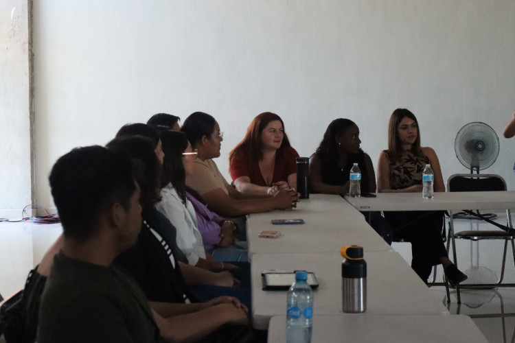 Reunión de delfines 